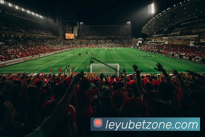 App Interface Preview